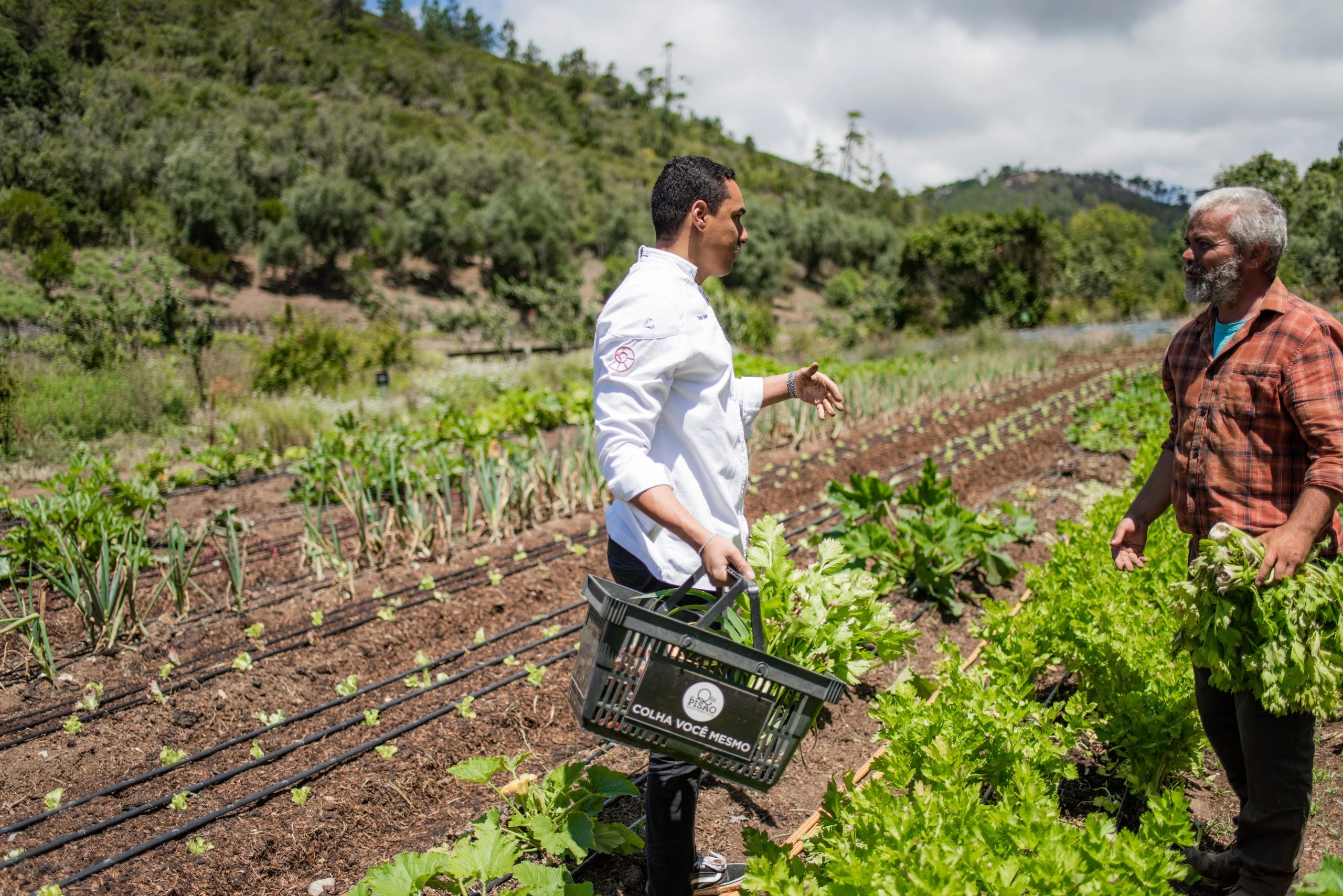 Local Vegetables